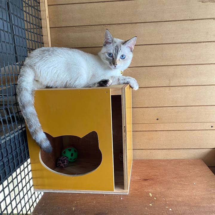 798ae45b 39a2 4730 bb64 ed0e2f8baa89 1657929564494