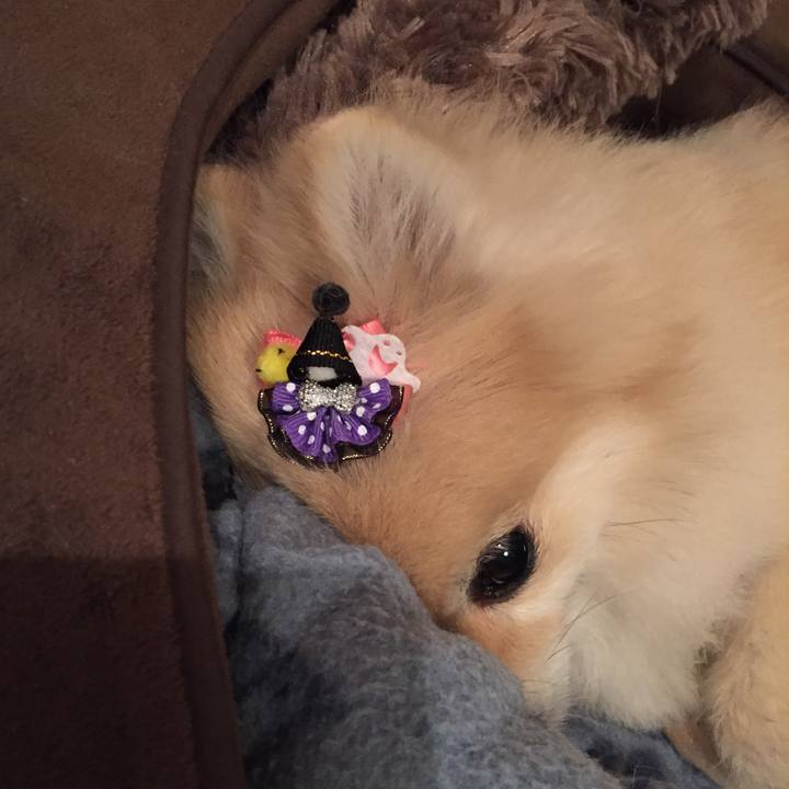 798b0192 7af7 4621 b8df 7ad2e2a29252 1538642931429