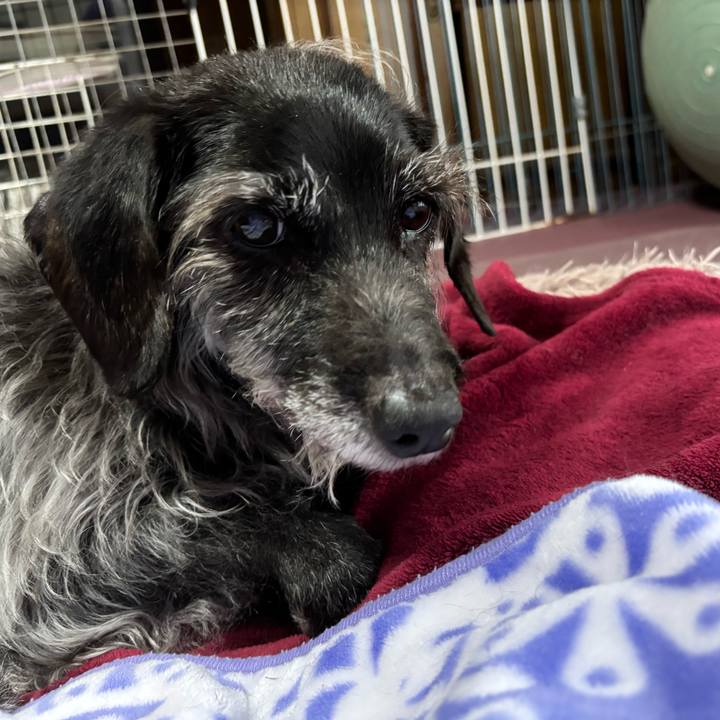 798b4097 a6c9 4b2a b9bf a534dcac6c08 1748905335337