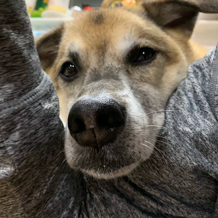 798b559f fe00 4ec5 85a4 f6470954b2b5 1575118763151