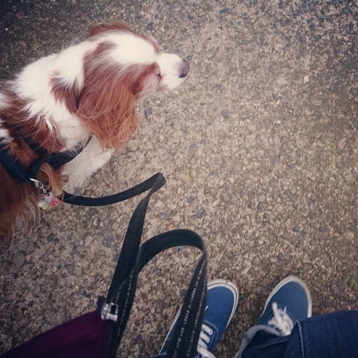 798b84f0 d854 4884 b3e8 e5b6dbf8a82c 1524035338480