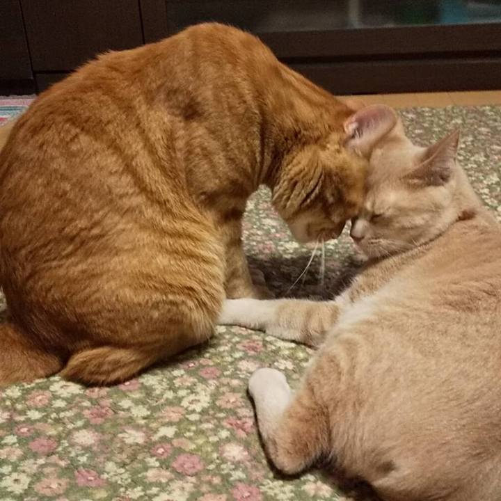 798b9ca7 aeca 42a2 992c 96f821cc2518 1590323535522