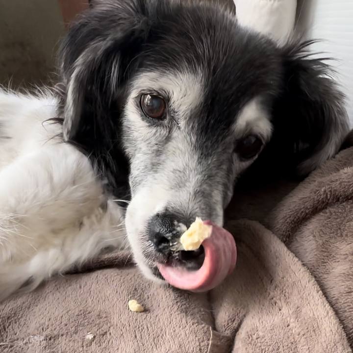 798ba676 a5dd 4136 bd58 89eeb02e2728 1681961584583