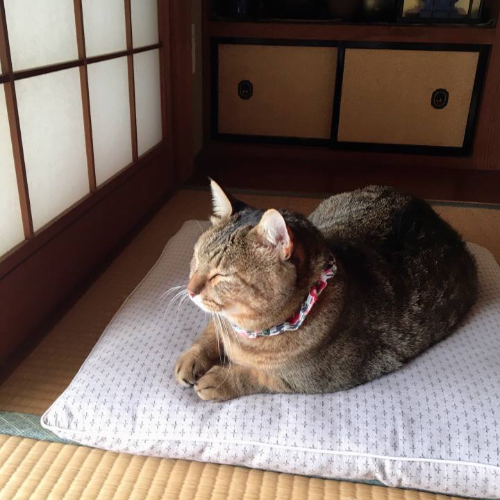 798bb5c9 a0a1 4a66 b53b fb2a419f4880 1601426379502