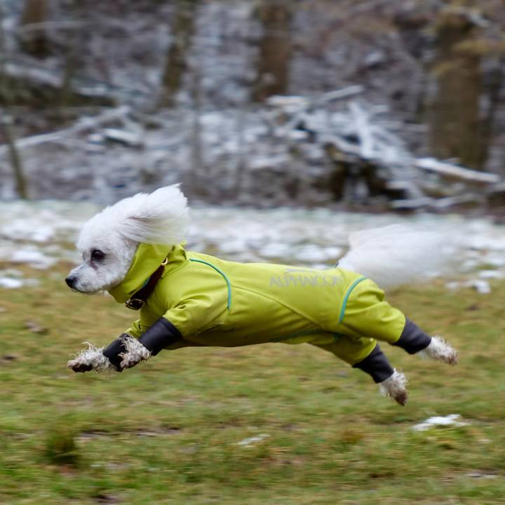 798bb6a4 ed2b 4673 a201 d93d9a8bc590 1771193719497