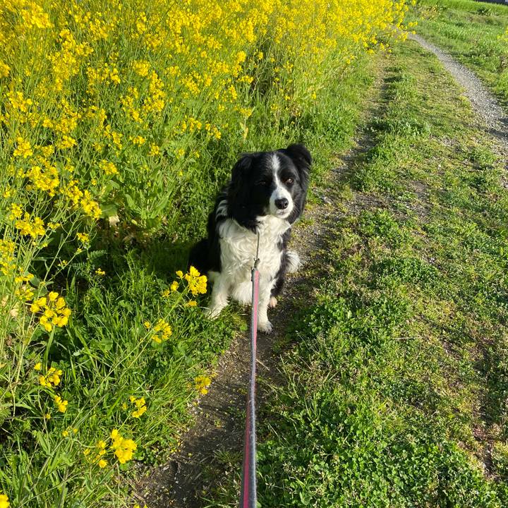 798bbab1 8a5d 432a 8601 12579923d39c 1616027621123