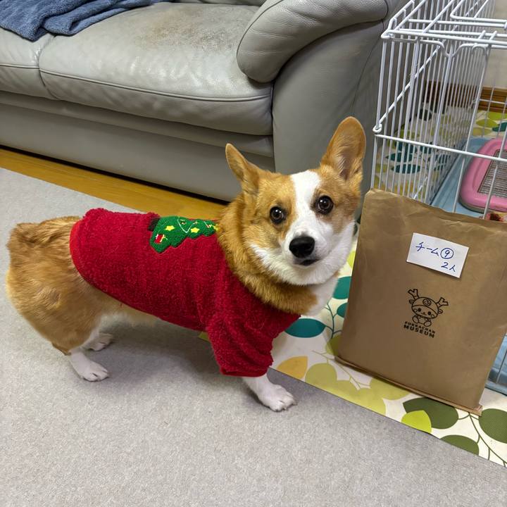 798bf288 4560 4bec b152 45650ff99276 1765707632935