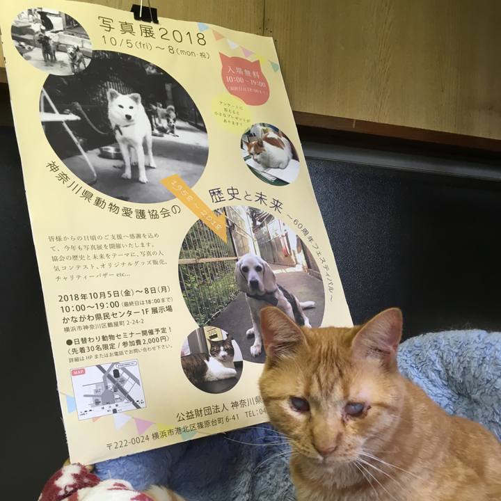 798c2994 1e69 4554 9180 8a18a84bc621 1538739581073