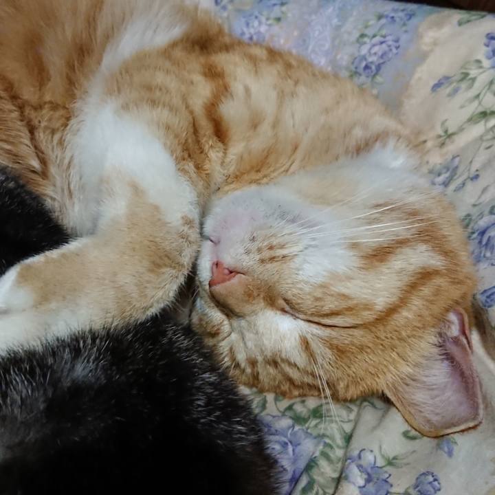 798c2ab0 a741 4fa6 8f9a 647312c67e94 1582549272713