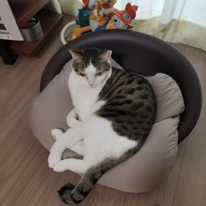 798c556e 0aaa 47d3 a577 818b6a78de53 1618522646472