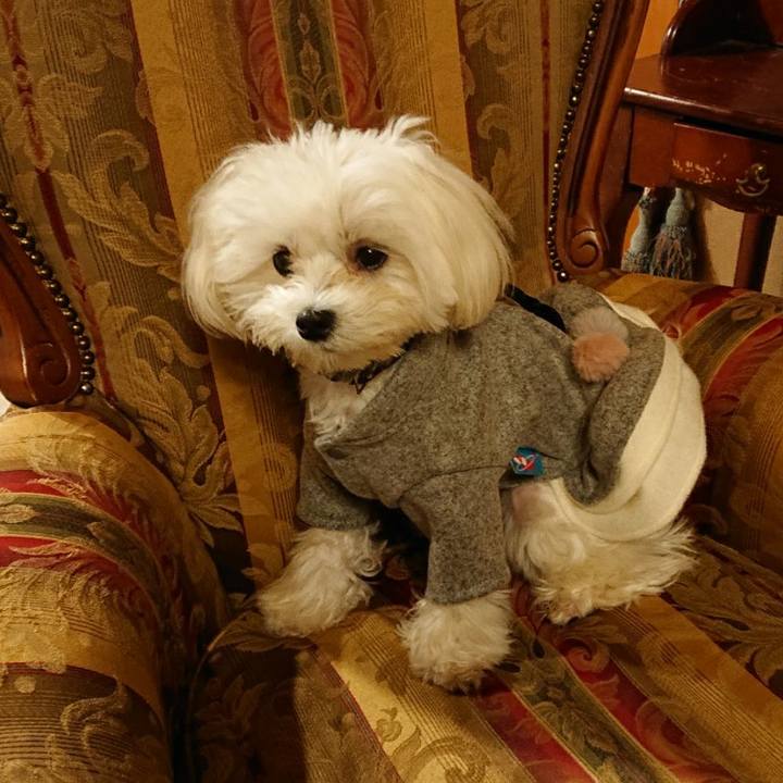 798c6202 38ac 4817 a899 f9385aa6512a 1574255500059