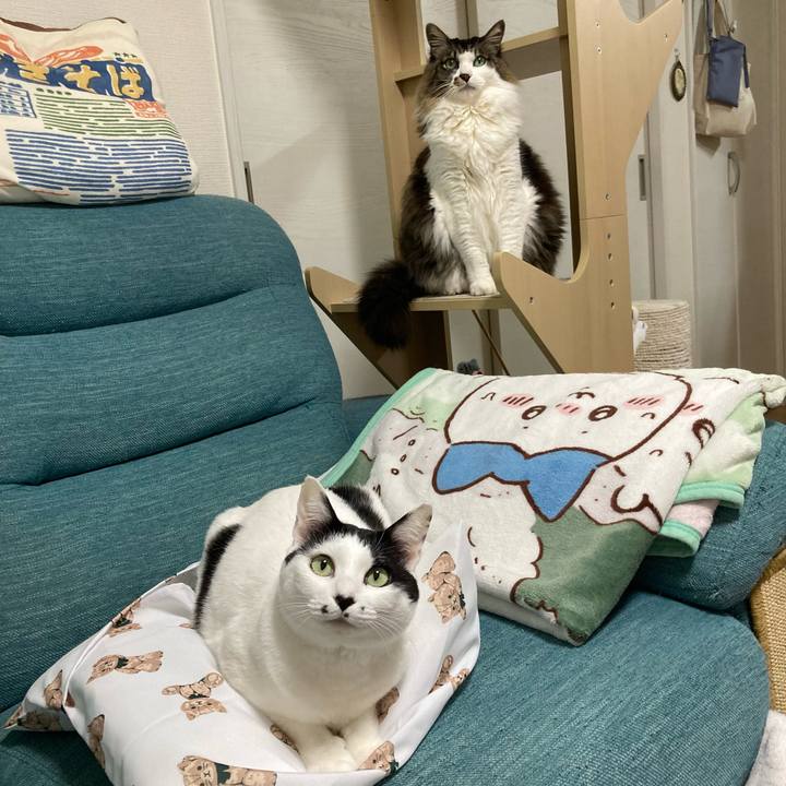 798cbddd 0a4f 4ea1 951e 92d2c5b6ffdc 1772485449758