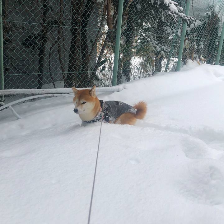 798cc1b5 c87f 401a b0ba 006ca0b2edba 1548728174887