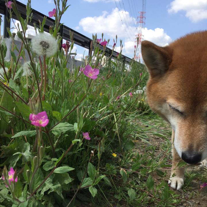 798cd49b 1646 466a ac92 f945ed7ea1e1 1558053519639