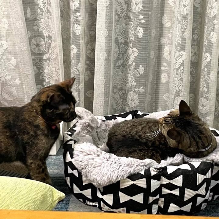 798cdd3f a6ba 4620 b498 20fc3ea4a12b 1736604581535