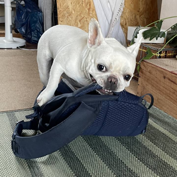 798ce365 383f 4bb5 9eda c8036f0f3c10 1723416495690