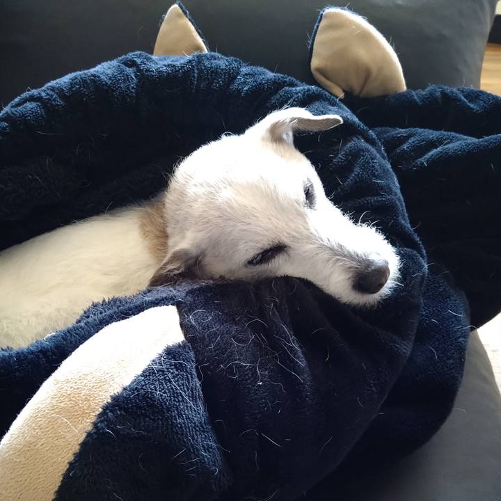 798d09f9 f630 4cf1 b766 b5fc9bcbc522 1748436121193