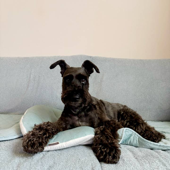 798d0ec1 59a9 4681 8159 f3a46912daeb 1750809375464