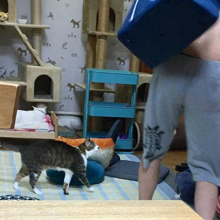 798d3461 31e9 4ebf acc0 ce4595f4fe05 1528715499051