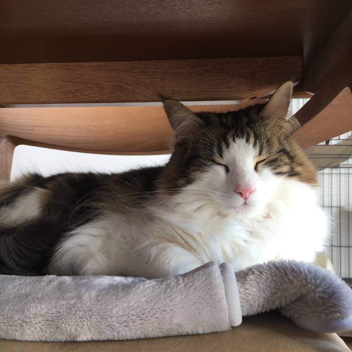 798d360a 23c4 4ee0 ae41 dc40bb7eff15 1520340355511