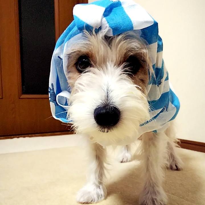 798d712a d9b8 46a3 a535 2c95518d43cf 1623273919635