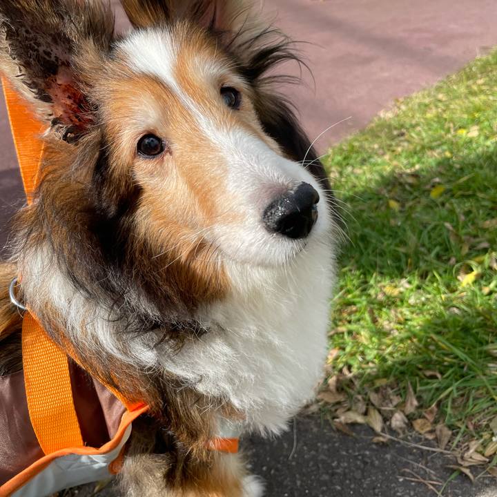 798d8eb1 acf5 44fb a0c5 cbd8b48084ef 1636192941122