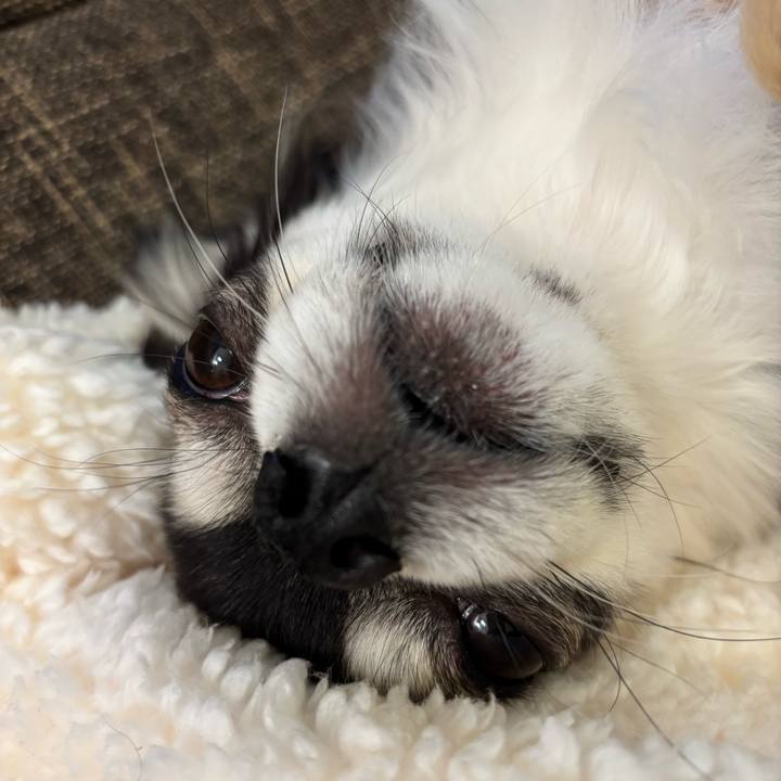 798dbb05 671e 4e89 96f6 f4e844831551 1735491131520