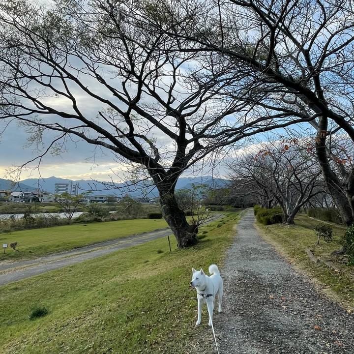 798dc27d 7b20 4e4a aec8 2a6f44bb0b40 1607055516209