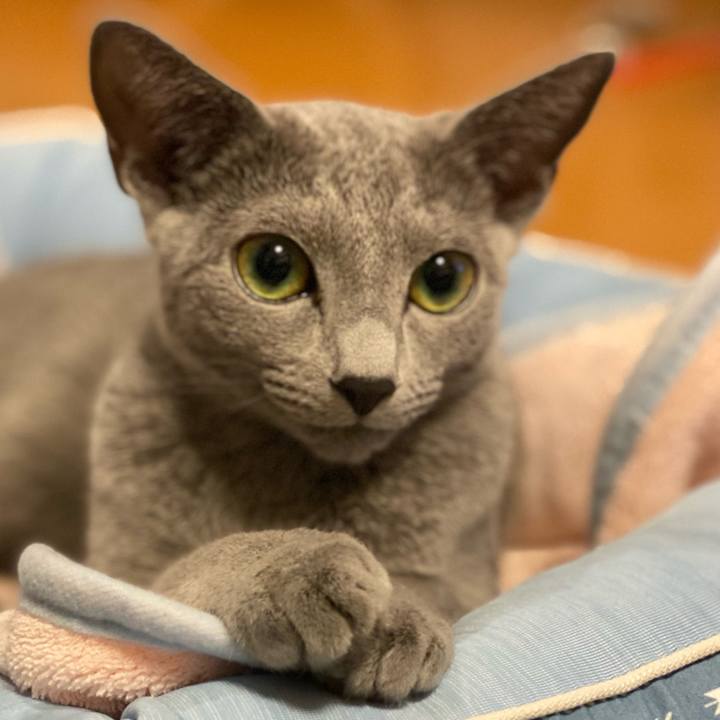 798e24d1 4245 4db3 99a9 d4c55329e5eb 1602083468534