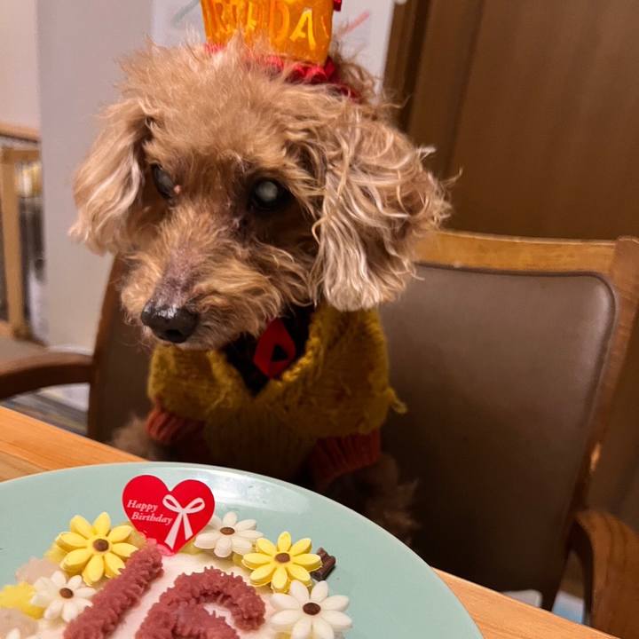 798e3917 2291 444d b233 b401e4305e73 1672475484893