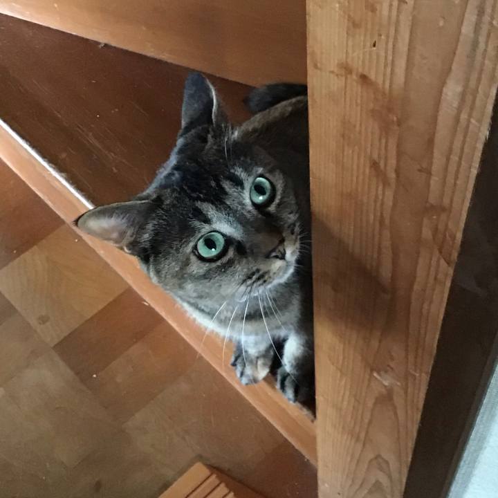 798ec7b3 7cef 4e02 9c63 be321d59ca8f 1661852717779