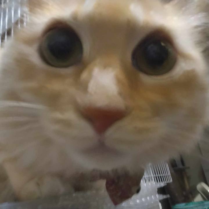 798f0970 f1db 4a5a a863 e35bd6b0482d 1698411625018