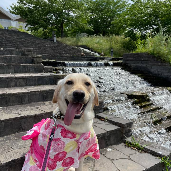 798f3c54 26fc 41a3 abd9 94ac2f14056c 1654277117899