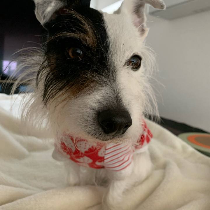 798f4ef2 87fd 4d57 99b6 57303d8a1e23 1675999366062