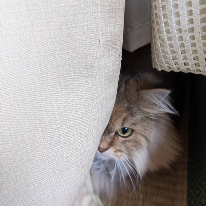 798fa8eb cb36 46fa 9757 c3c9fe97664b 1638934717166