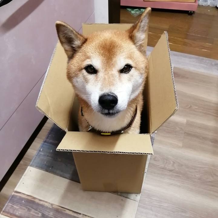 798feb85 6993 442d 8f70 3b502ed66077 1694703860680