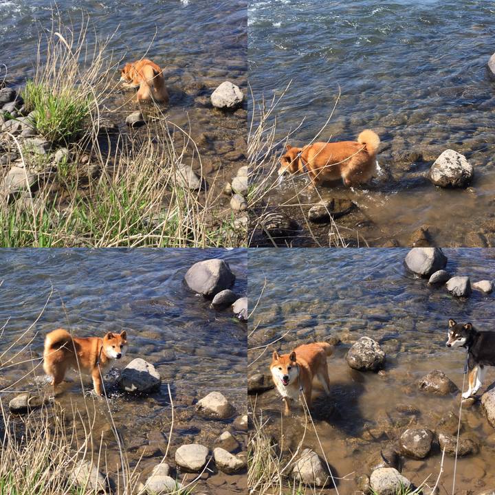 79900470 3028 4599 a3e9 d0133e2d2142 1555645576262