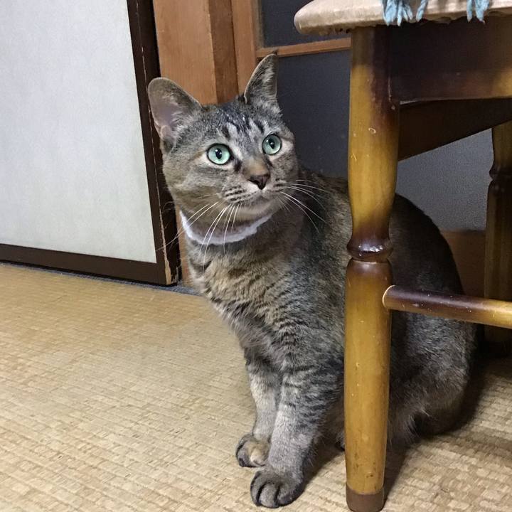 799029cb f2b2 44cc be18 a9704daed30c 1747986493742