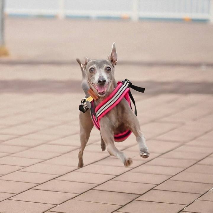 7990451a 2473 4bca a3e3 0171e7cff163 1759048163037