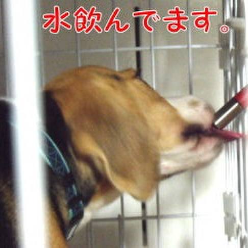 79905504 856c 4737 a704 6be92eb52296 1690251210088