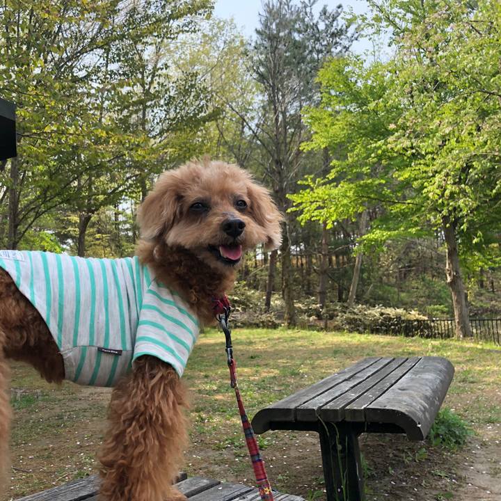 79905d4f e02f 4159 8eb2 9e7aa58d2101 1588390926853