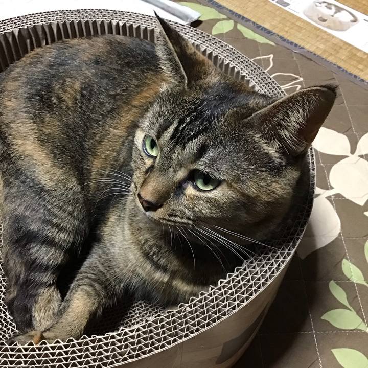 79907869 fd47 4d80 9e98 5f39d5d27fa4 1697108090521