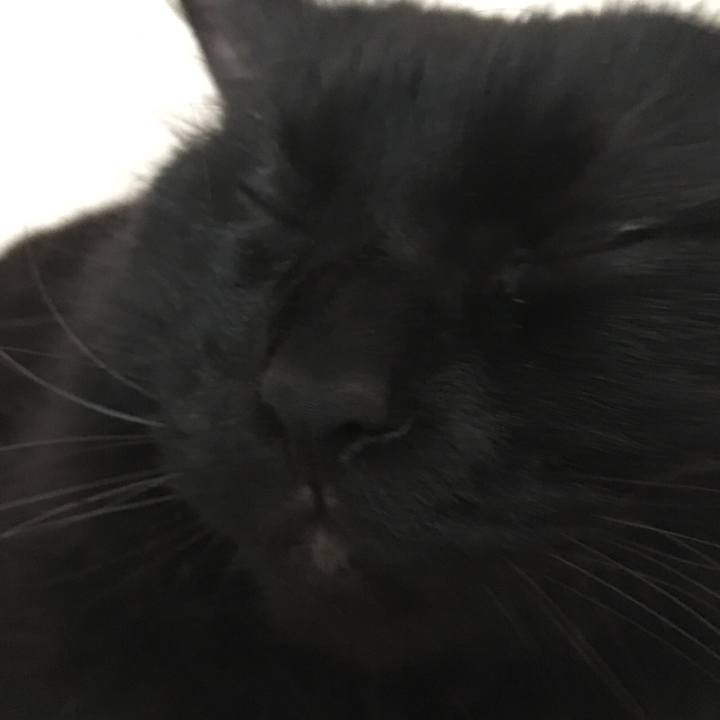 79907a0e 72a1 4c5b 9029 28b4d1a6bb96 1539336438769