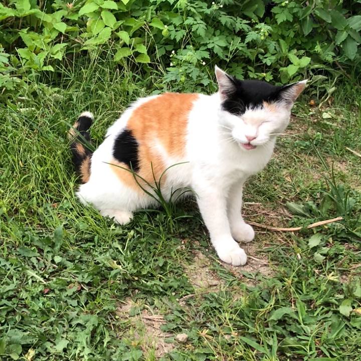 7990ca58 49af 4e90 b5bb 2df3f3319aa1 1599126707067