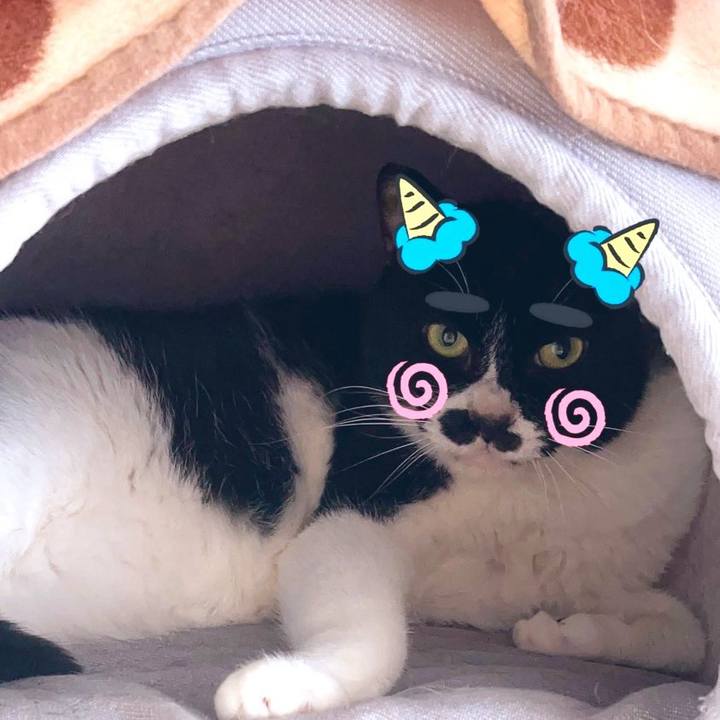 7990ce39 7ea7 4bed ab0d 96f3359acc8e 1707108051279