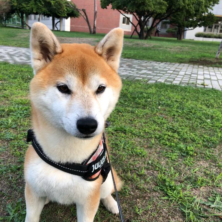 7990d95a 649b 4edf 90a3 ccfde5be7f83 1566472271365