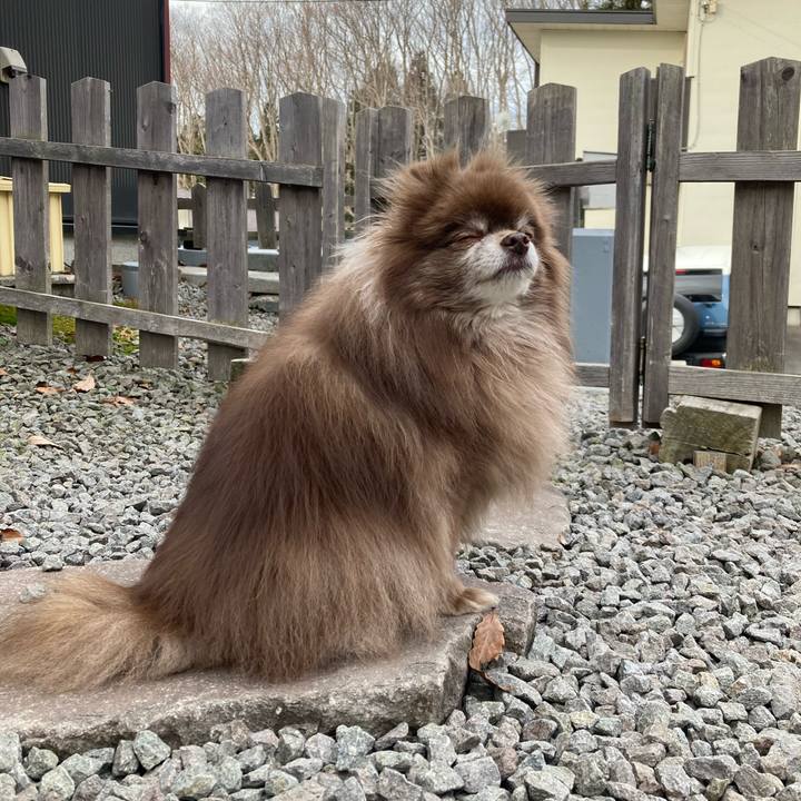 7990e3d8 ce4f 4c21 ac33 a32d280879f5 1679104839985