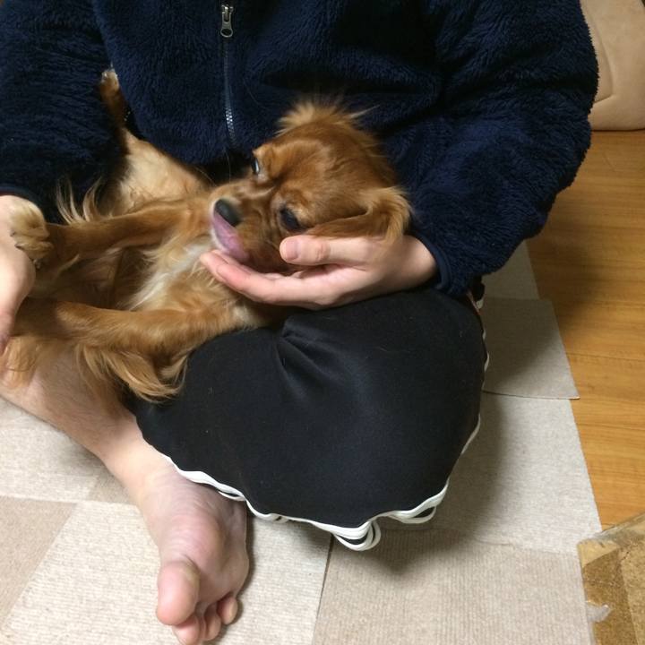 7990e5a9 955c 4c45 bc0f 700dbd0232a0 1518646482073