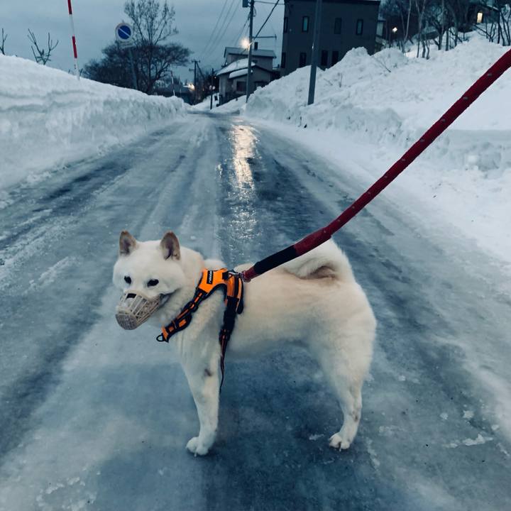 7990f7c1 0646 4bef 815f 3c4ad7a4d6ae 1673649040890