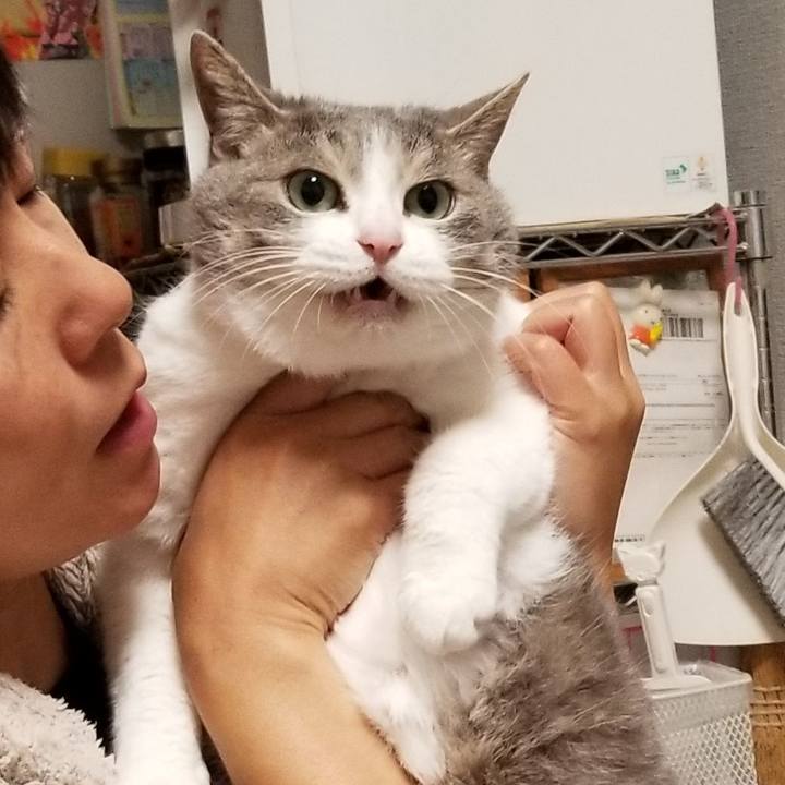 79911827 8631 441a 86da 34543f5efdfb 1689307096615